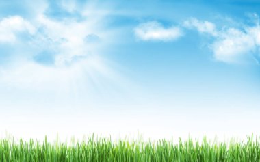 Çim ve mavi gökyüzü güneşli yaz arka plan