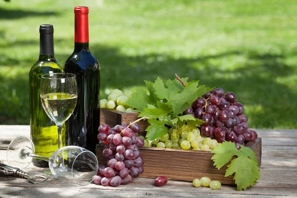 Wine Bottles Grape Outdoor Still Life Space Your Text — Stock Photo, Image