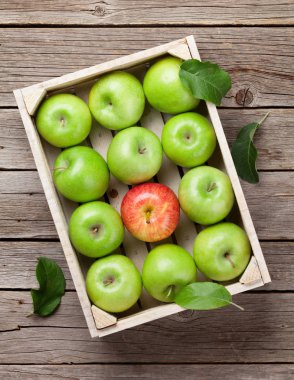 Olgun yeşil ve kırmızı elma ahşap masa üzerinde. Üstten görünüm