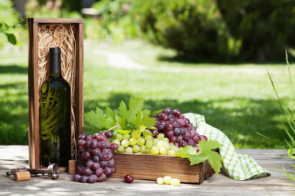 Beyaz şarap ve üzüm. Açık natürmort. Senin metin için ile yer