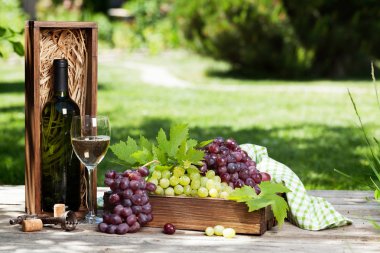 Beyaz şarap ve üzüm. Açık natürmort. Senin metin için ile yer