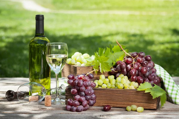 Botella Uva Naturaleza Muerta Aire Libre Con Espacio Para Texto — Foto de Stock