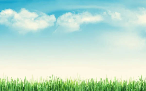 Zonnige Zomer Achtergrond Met Gras Een Blauwe Hemel Toned — Stockfoto
