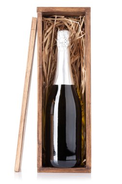 Şampanya şişesi kutusunda. Köpüklü şarap. Beyaz arka plan üzerinde izole