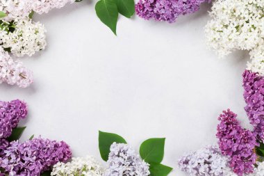 Taş arka plan üzerinde renkli eflatun çiçekler. Metin alanı olan üstten görünüm