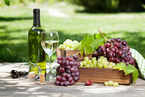 Witte Wijn Druivenmost Buiten Stilleven Met Ruimte Voor Tekst — Stockfoto