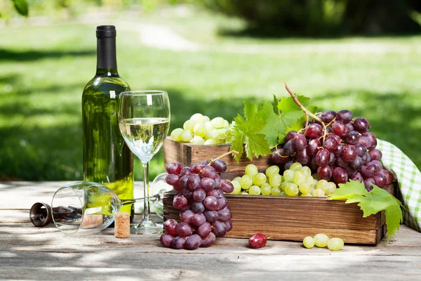 Vino Blanco Uva Naturaleza Muerta Aire Libre Con Espacio Para — Foto de Stock