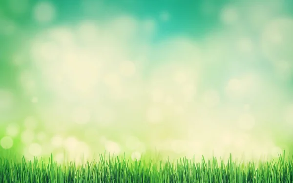 Sunny Summer Background Grass Bokeh Toned — Stock Photo, Image