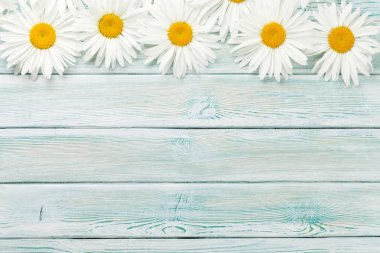 Ahşap arka plan üzerinde Bahçe papatya çiçeği. Kopya alanı ile üstten görünüm