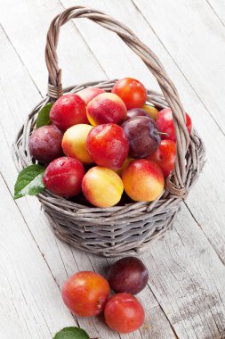 Taze olgun erik sepeti ahşap tablo