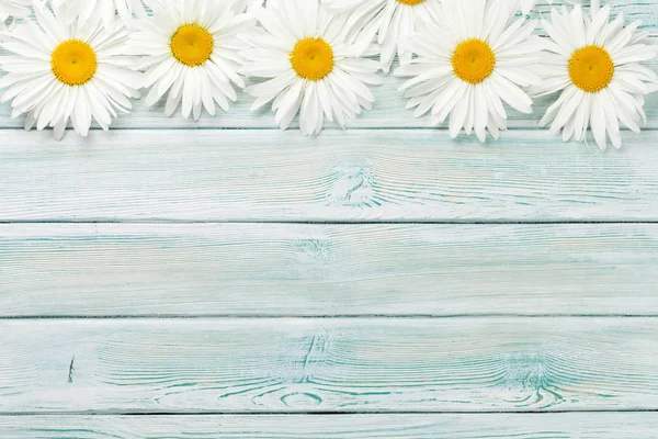 Garden Chamomile Flowers Wooden Background Top View Copy Space — Stock Photo, Image