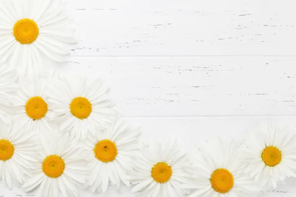 Tuin Kamille Bloemen Witte Houten Achtergrond Bovenaanzicht Met Kopie Ruimte — Stockfoto