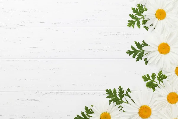 Tuin Kamille Bloemen Witte Houten Achtergrond Bovenaanzicht Met Kopie Ruimte — Stockfoto