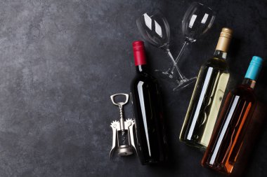 Kırmızı, gül ve beyaz şarap şişeleri. Metin alanı olan üstten görünüm