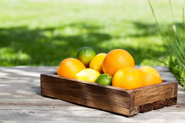 Frisse Zomer Citrusvruchten Vak Tuinmeubelen Met Ruimte Voor Tekst — Stockfoto