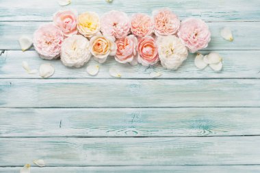 Bahçe çiçek mavi ahşap arka plan üzerinde yükseldi. Kopya alanı ile üstten görünüm