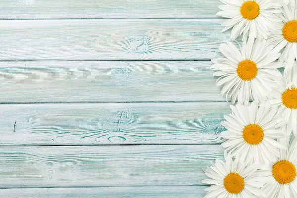 Tuin Kamille Bloemen Blauwe Houten Achtergrond Bovenaanzicht Met Kopie Ruimte — Stockfoto