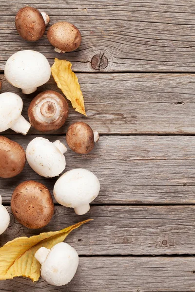 Champignon Svamp Träbord Ovanifrån Med Kopia Utrymme — Stockfoto