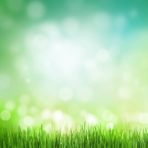 Sunny Summer Background Grass Bokeh Toned — Stock Photo, Image