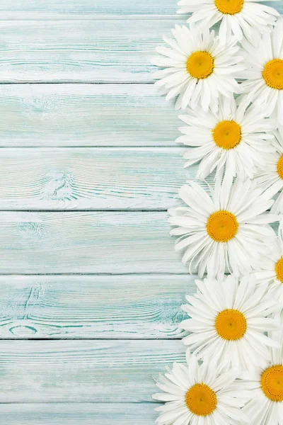 Garden Chamomile Flowers Wooden Background Top View Copy Space — Stock Photo, Image