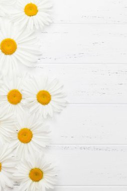 Ahşap arka plan üzerinde Bahçe papatya çiçeği. Kopya alanı ile üstten görünüm