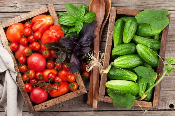 Trädgård Tomater Och Gurkor Med Örter Matlagning Träbord Ovanifrån — Stockfoto