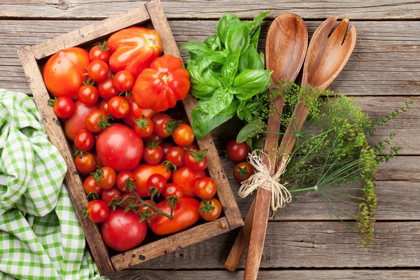 Tomates Jardim Frescos Com Ervas Cozinhando Vista Superior — Fotografia de Stock