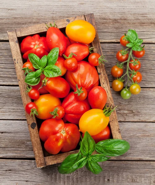 Frische Gartentomaten Und Basilikum Auf Dem Kochtisch Ansicht Von Oben — Stockfoto