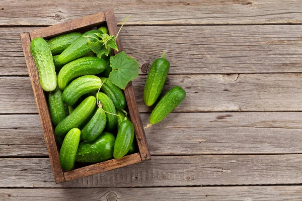 Verse Tuin Komkommers Houten Tafel Bovenaanzicht Met Ruimte Voor Tekst — Stockfoto