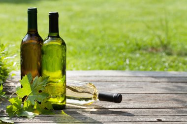 Ahşap masa üzerinde beyaz şarap şişeleri. Açık natürmort. Senin metin için ile yer