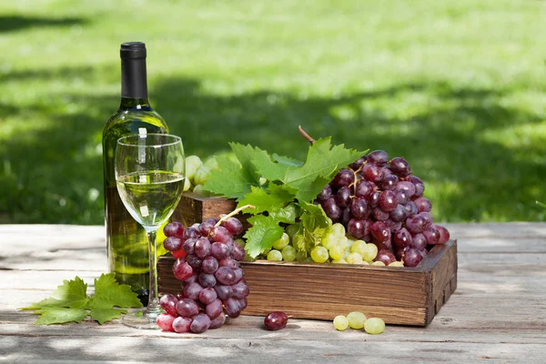 Witte Wijn Druivenmost Buiten Stilleven — Stockfoto