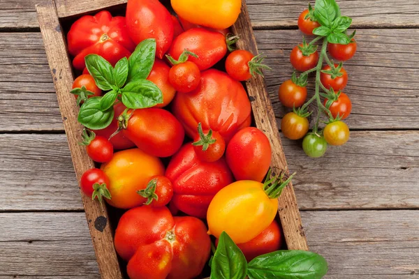 Tomates Jardim Frescos Manjericão Mesa Cozinhar Vista Superior — Fotografia de Stock