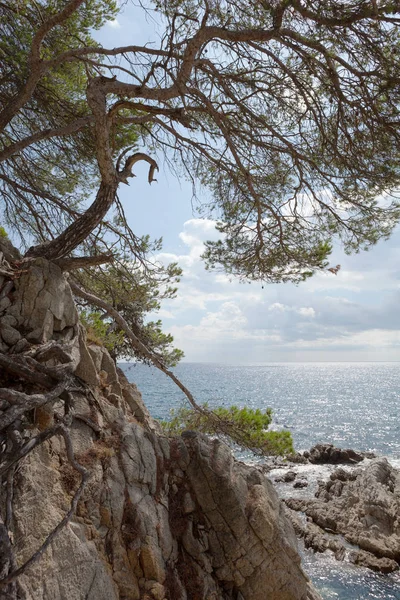 Seascape Bay Lagoon Hegyek Földközi Tenger Spanyolország — Stock Fotó