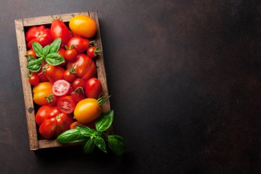 Taze bahçe domates ve fesleğen tablo pişirme. Üstten görünüm ile tarifi için yer