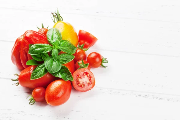 Fresh Garden Tomatoes Basil Cooking Table Space Your Recipe — Stock Photo, Image