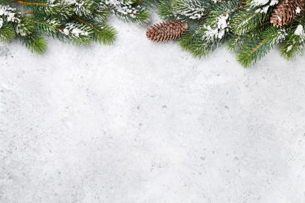 Choinka Gałąź Pokryta Śniegiem Kamiennym Tle Świąteczne Tło Dla Twojej — Zdjęcie stockowe
