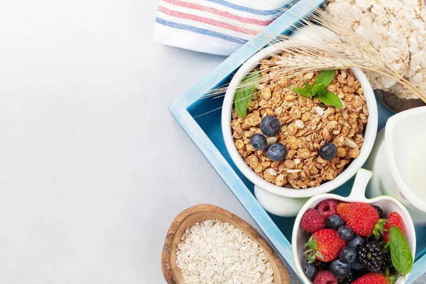 Healthy Breakfast Set Muesli Berries Milk Top View Space Your — Stock Photo, Image