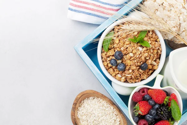 Petit Déjeuner Sain Composé Muesli Baies Lait Vue Dessus Avec — Photo