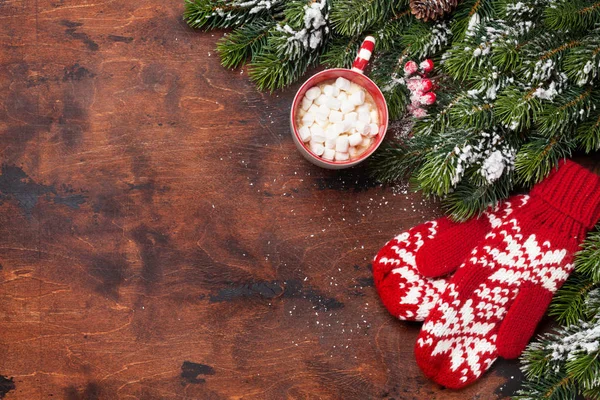 Carte Noël Avec Mitaines Tasse Chocolat Chaud Avec Guimauve Branche — Photo