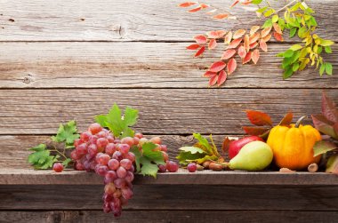 Kabaklar, üzüm, armut ve ahşap duvar önünde renkli yaprakları ile sonbahar natürmort kartı. Senin metin için ile yer