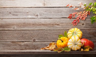 Kabaklar ve renkli ahşap duvarın önünde yaprak. Senin metin için ile yer