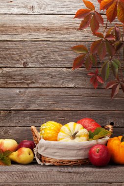 Kabak, elma, armut ve ahşap duvar önünde renkli yaprakları ile sonbahar natürmort kartı. Senin metin için ile yer