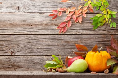 Kabak, elma, armut ve ahşap duvar önünde renkli yaprakları ile sonbahar natürmort kartı. Senin metin için ile yer