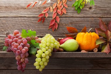 Sonbahar natürmort kartıyla kabak, elma, armut, üzüm ve renkli ahşap duvarın önünde bırakır. Senin metin için ile yer