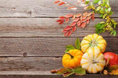 Sonbahar natürmort kartı ile kabak ve renkli ahşap duvarın önünde bırakır. Senin metin için ile yer