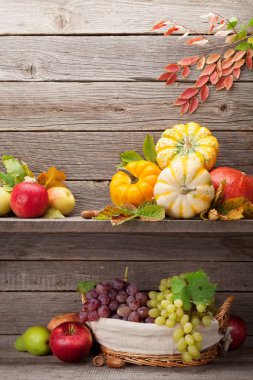 Sonbahar natürmort kartıyla kabak, elma, armut, üzüm ve renkli ahşap duvarın önünde bırakır. Senin metin için ile yer