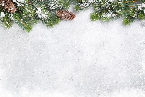 Christmas fir tree branch covered by snow on stone background. Xmas backdrop for your greeting card with space for text