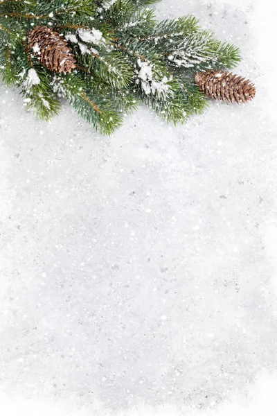 Tannenzweig Bedeckt Mit Schnee Auf Steingrund Weihnachtskulisse Für Ihre Grußkarte — Stockfoto