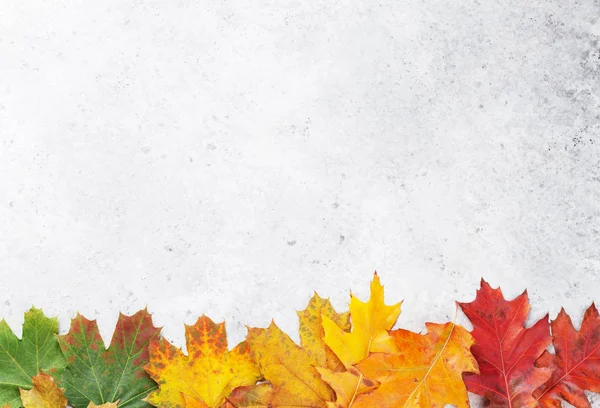 Autumn Backdrop Colorful Leaves Stone Background — Stock Photo, Image