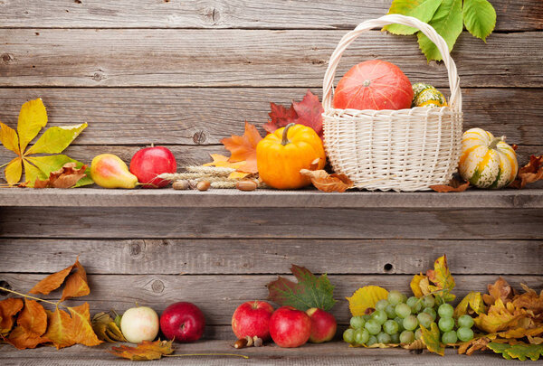 Autumn still life with pumpkins, apples, grapes, pear and colorful leaves of wooden wall